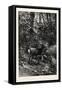 Forest Scene in Summer, 1882-null-Framed Stretched Canvas
