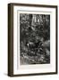 Forest Scene in Summer, 1882-null-Framed Premium Giclee Print