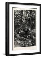 Forest Scene in Summer, 1882-null-Framed Premium Giclee Print