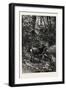 Forest Scene in Summer, 1882-null-Framed Premium Giclee Print