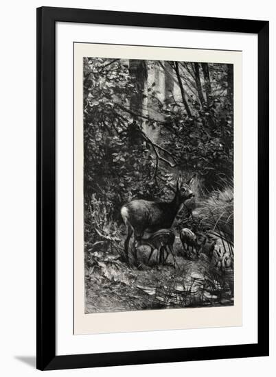 Forest Scene in Summer, 1882-null-Framed Giclee Print