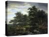 Forest Scene-Jacob Isaacksz Van Ruisdael-Stretched Canvas