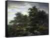 Forest Scene-Jacob Isaacksz Van Ruisdael-Framed Stretched Canvas