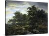 Forest Scene-Jacob Isaacksz Van Ruisdael-Stretched Canvas