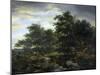 Forest Scene-Jacob Isaacksz Van Ruisdael-Mounted Art Print