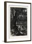 Forest Scenery, Florida, USA, 1870S-null-Framed Giclee Print