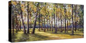 Forest Shade-Amanda Houston-Stretched Canvas