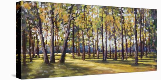 Forest Shade-Amanda Houston-Stretched Canvas