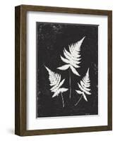 Forest Shadows IV Black Crop-Moira Hershey-Framed Art Print