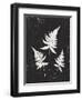 Forest Shadows IV Black Crop-Moira Hershey-Framed Art Print