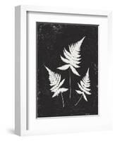Forest Shadows IV Black Crop-Moira Hershey-Framed Art Print