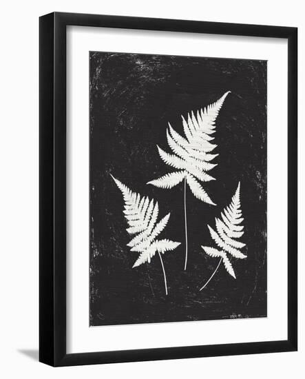 Forest Shadows IV Black Crop-Moira Hershey-Framed Art Print