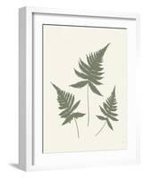 Forest Shadows IV Green on Cream Crop-Moira Hershey-Framed Art Print