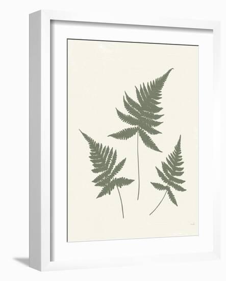 Forest Shadows IV Green on Cream Crop-Moira Hershey-Framed Art Print