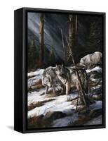 Forest Shadows-Trevor V. Swanson-Framed Stretched Canvas