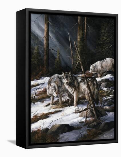 Forest Shadows-Trevor V. Swanson-Framed Stretched Canvas