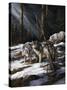 Forest Shadows-Trevor V. Swanson-Stretched Canvas