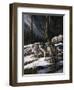 Forest Shadows-Trevor V. Swanson-Framed Giclee Print