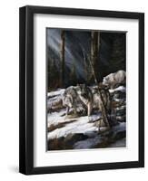Forest Shadows-Trevor V. Swanson-Framed Giclee Print