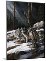 Forest Shadows-Trevor V. Swanson-Mounted Giclee Print