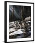 Forest Shadows-Trevor V. Swanson-Framed Giclee Print