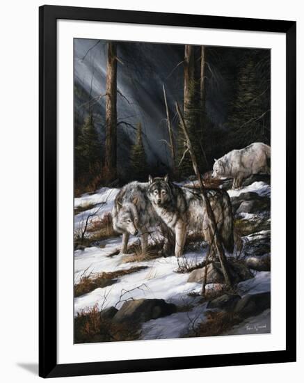 Forest Shadows-Trevor V. Swanson-Framed Giclee Print