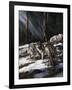 Forest Shadows-Trevor V. Swanson-Framed Giclee Print