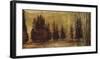 Forest Silhouettes I-Linda Thompson-Framed Giclee Print