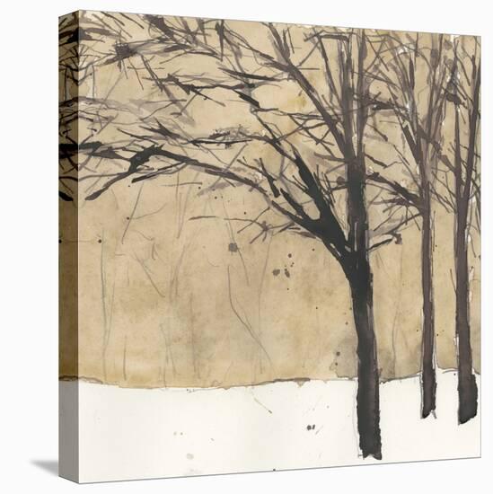 Forest Sketch II-Samuel Dixon-Stretched Canvas