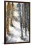 Forest Snow-null-Framed Giclee Print