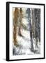 Forest Snow-null-Framed Giclee Print