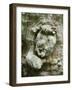 forest spirit, tree face in old beech, Urwald Sababurg, Reinhardswald, Hessia, Germany-Michael Jaeschke-Framed Photographic Print