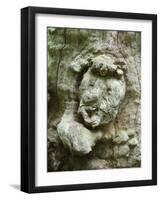 forest spirit, tree face in old beech, Urwald Sababurg, Reinhardswald, Hessia, Germany-Michael Jaeschke-Framed Photographic Print