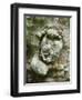 forest spirit, tree face in old beech, Urwald Sababurg, Reinhardswald, Hessia, Germany-Michael Jaeschke-Framed Photographic Print