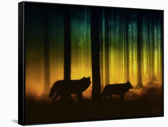 Forest Spirits-Julie Fain-Framed Stretched Canvas