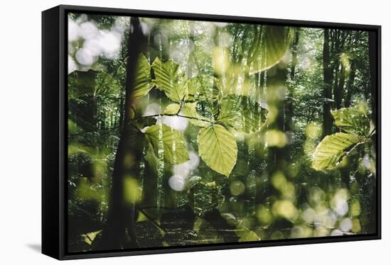 forest, spring, double exposure-Nadja Jacke-Framed Stretched Canvas