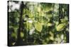 forest, spring, double exposure-Nadja Jacke-Stretched Canvas