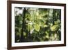 forest, spring, double exposure-Nadja Jacke-Framed Photographic Print