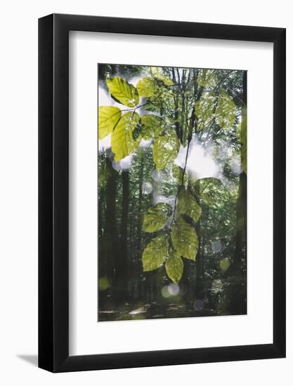 forest, spring, double exposure-Nadja Jacke-Framed Photographic Print