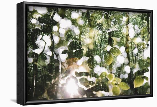 forest, spring, double exposure-Nadja Jacke-Framed Photographic Print