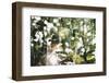 forest, spring, double exposure-Nadja Jacke-Framed Photographic Print