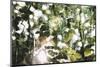 forest, spring, double exposure-Nadja Jacke-Mounted Photographic Print