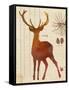 Forest Stag-Z Studio-Framed Stretched Canvas