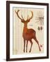 Forest Stag-Z Studio-Framed Art Print