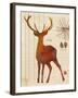 Forest Stag-Z Studio-Framed Art Print