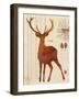 Forest Stag-Z Studio-Framed Art Print