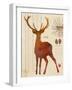 Forest Stag-Z Studio-Framed Art Print