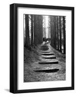 Forest Steps-Stephen Lebovits-Framed Giclee Print