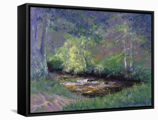 Forest Stream, 2002-Anthony Rule-Framed Stretched Canvas