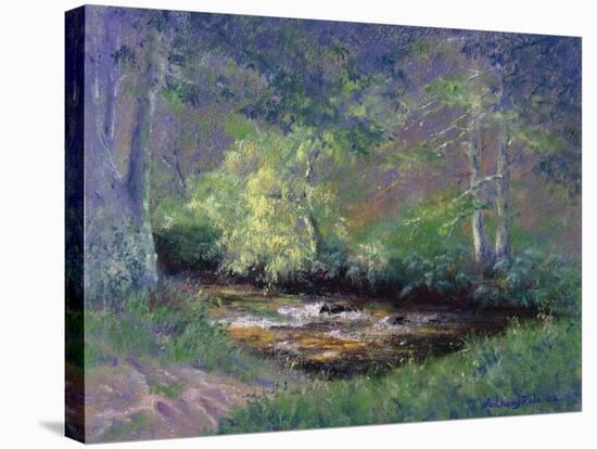 Forest Stream, 2002-Anthony Rule-Stretched Canvas